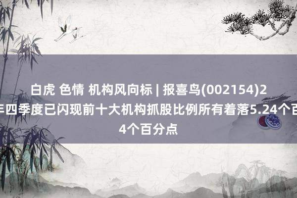 白虎 色情 机构风向标 | 报喜鸟(002154)2024年四季度已闪现前十大机构抓股比例所有着落5.24个百分点