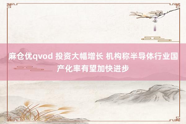 麻仓优qvod 投资大幅增长 机构称半导体行业国产化率有望加快进步