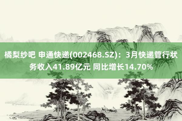 橘梨纱吧 申通快递(002468.SZ)：3月快递管行状务收入41.89亿元 同比增长14.70%