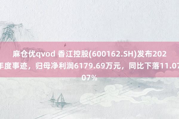 麻仓优qvod 香江控股(600162.SH)发布2024年度事迹，归母净利润6179.69万元，同比下落11.07%