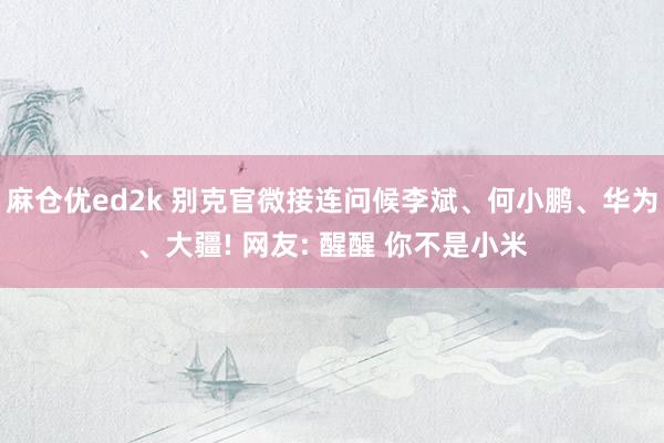 麻仓优ed2k 别克官微接连问候李斌、何小鹏、华为、大疆! 网友: 醒醒 你不是小米
