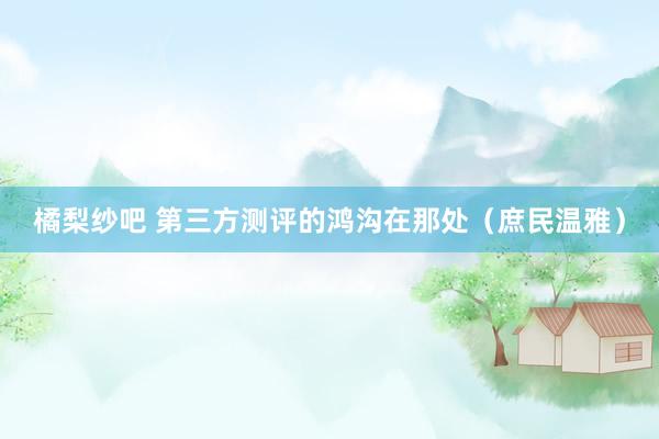 橘梨纱吧 第三方测评的鸿沟在那处（庶民温雅）