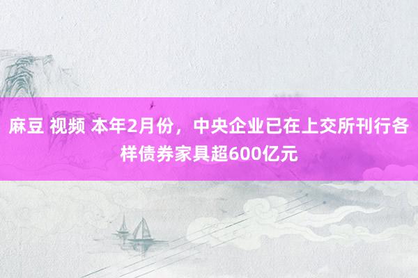 麻豆 视频 本年2月份，中央企业已在上交所刊行各样债券家具超600亿元
