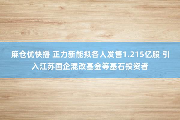 麻仓优快播 正力新能拟各人发售1.215亿股 引入江苏国企混改基金等基石投资者