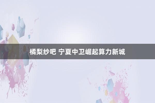 橘梨纱吧 宁夏中卫崛起算力新城