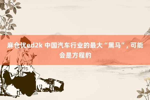 麻仓优ed2k 中国汽车行业的最大“黑马”， 可能会是方程豹