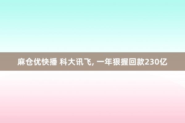 麻仓优快播 科大讯飞， 一年狠握回款230亿