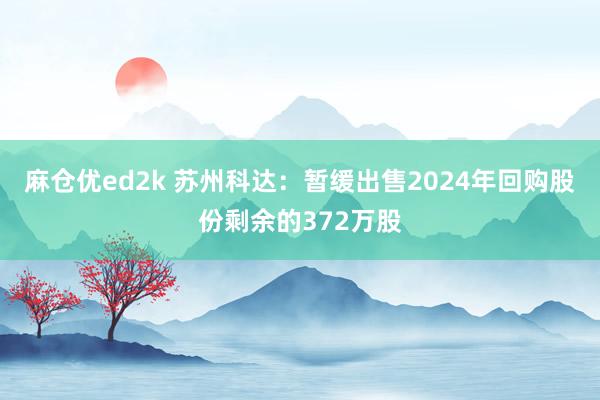 麻仓优ed2k 苏州科达：暂缓出售2024年回购股份剩余的372万股