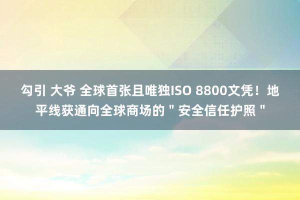勾引 大爷 全球首张且唯独ISO 8800文凭！地平线获通向全球商场的＂安全信任护照＂