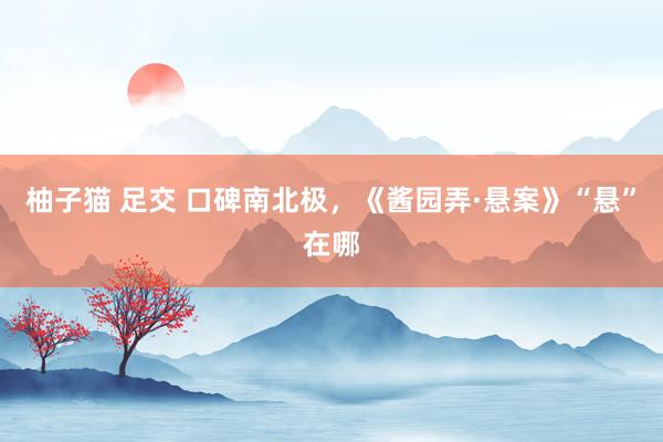 柚子猫 足交 口碑南北极，《酱园弄·悬案》“悬”在哪